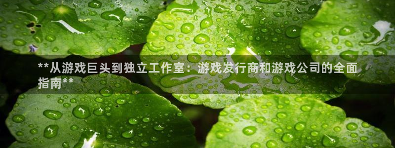 蓝狮技术有限公司怎么样：**从游戏巨头到独立工作室：游戏发行商和游戏公司的全面
指南**