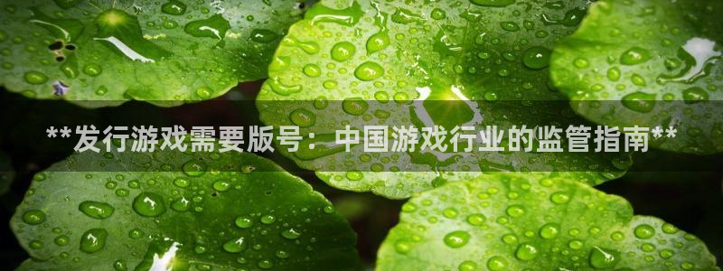 深圳市蓝狮科技有限招聘公司：**发行游戏需要版号：中国游戏行业的监管指南**